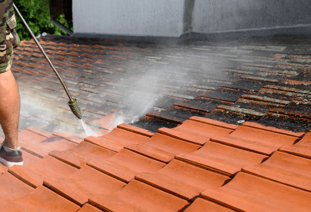 Best Pressure Washing Estimates  in Grundy, VA